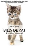 Billy de kat (e-book)