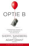 Optie B (e-book)
