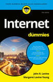 Internet voor Dummies (e-book)