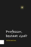 Professor, bestaat God? (e-book)