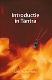 Introductie in Tantra (e-book)