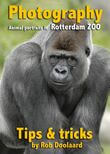 Photography: animal portraits in the ZOO (e-book)