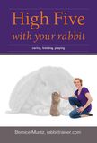 High five with your rabbit (e-book)