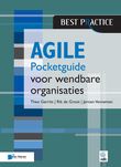 Agile (e-book)