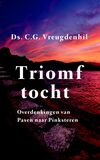 Triomftocht (e-book)