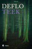 Teek (e-book)