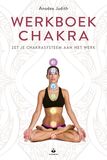 Werkboek chakra&#039;s (e-book)