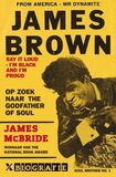 James Brown (e-book)