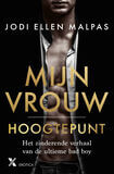 Hoogtepunt (e-book)