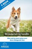 De puberteit bij honden (e-book)