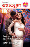 Zwanger van de Spaanse magnaat (e-book)