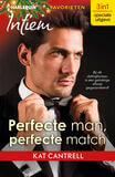 Perfecte man, perfecte match (e-book)