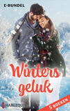 Winters geluk (e-book)