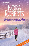 Winterpracht (e-book)