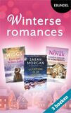 Winterse romances (e-book)