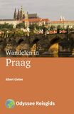 Wandelen in Praag (e-book)