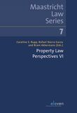 Property Law Perspectives VI (e-book)