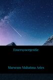 Emersynergentie (e-book)