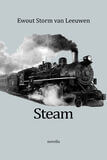 Steam (e-book)