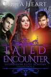 Fated Encounter (e-book)