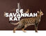 De Savannah kat