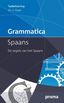 Grammatica Spaans (e-book)