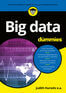 Big data voor Dummies (e-book)