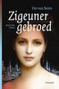 Zigeunergebroed (e-book)