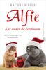 Kat onder de kerstboom (e-book)