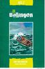 De Ballingen (e-book)